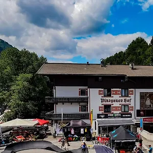 Hotel Pinzgauerhof - Inclusive Evening Dinner And Joker Card In Summer